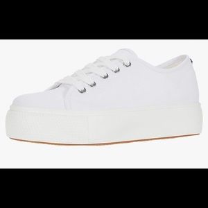COPY - Steve Madden Elore sneaker